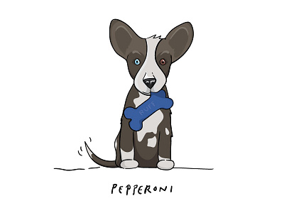 Pepperoni foster husky illustration pepperoni puppy wacom