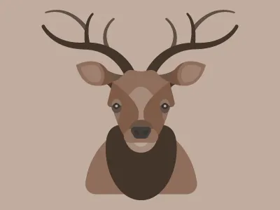Elk Illustration animal buck character color debut deer elk first flat illustration vector wildlife