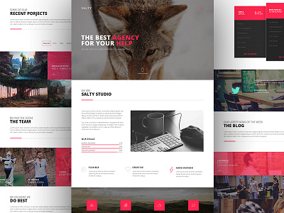 Salty- Full Shot creative degital agency portfolio salty template themeforest ui web