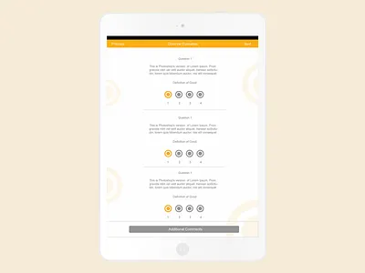 Sales Questionaire Mockup