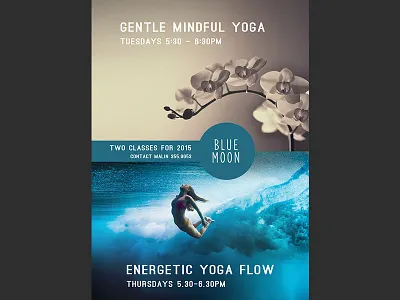 Two Class Yoga Poster poster