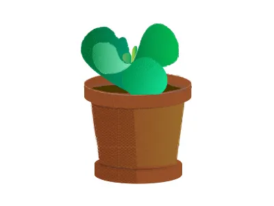 Succulent 1 grain illustration texture