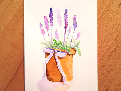 Watercolor lavender drawing painting watercolor