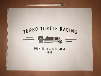 Turbo Turtle Racing acrylic handtype logo painting racecar typography vintage