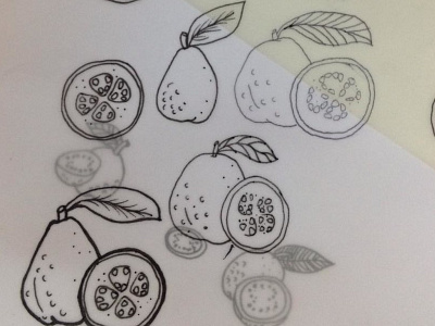 guava guava illustration package