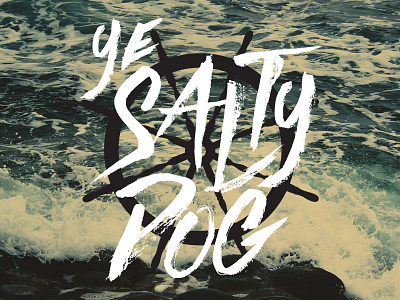 Ye Salty Dog illustration illustrator nautical ocean photography sea typography