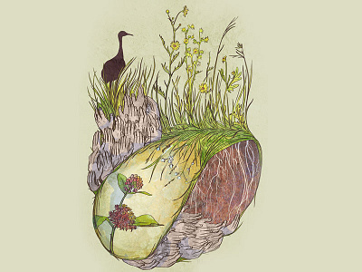 Time And Together conservation cooperation crane cranes ecology nature prairie