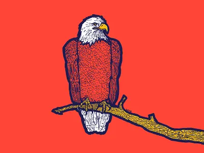 The Seer adventure branch climbing eagle editorial feathers illustration talons