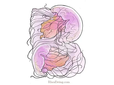 Love Letters: B illustration jellyfish letter letter b lettering