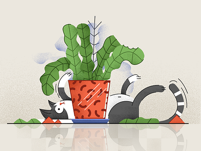 Cat animal bored cat floor fun illustration kitten kitty pet plant reflection