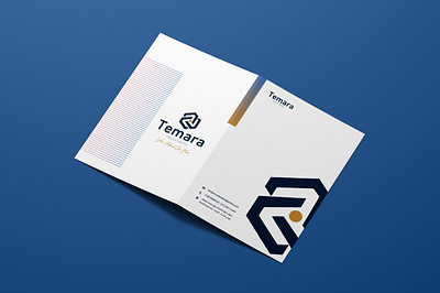 Temera Investment Branding branding graphic design