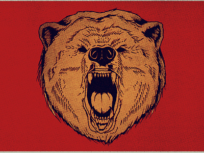 Angry bear bear illustration