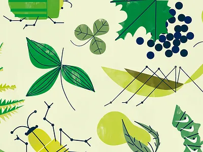 Plantas argentina green illustration insects leaf mendoza