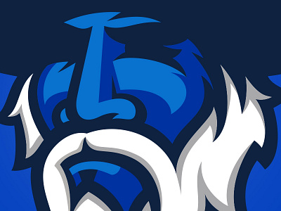 Wizard Mascot Detail beard education fantasy lore magic mascot school sports wizard