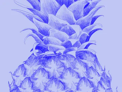exotic friday ananas exotic fruit pineapple