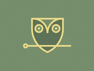 Acupuncture Owl acupuncture medicine owl shield