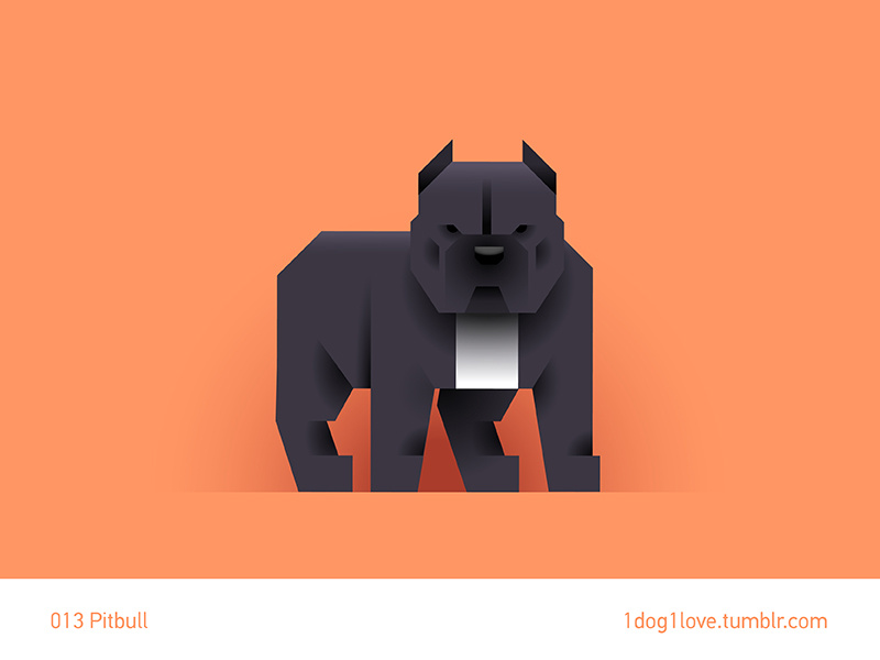 Example of Pitbull