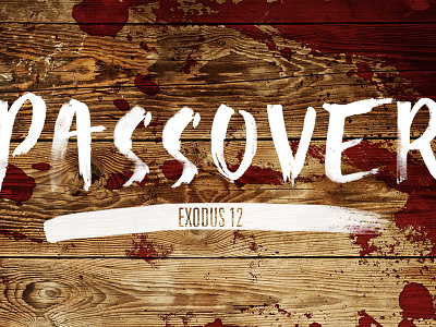 Passover brushlettering handlettering lettering typography