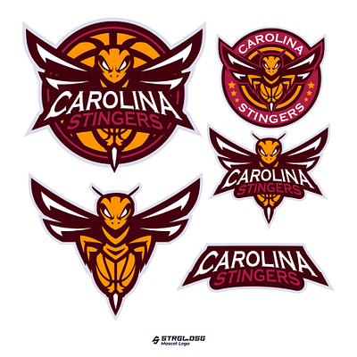 CAROLINA STINGERS BASKETBALL LOGO design esport logo graphic design illustration logo mascot design mascot logo sport logo vector