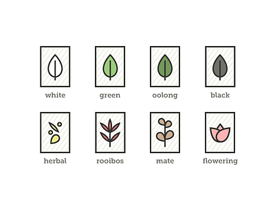 Tea Types education icons illustrations leaves organic tea types