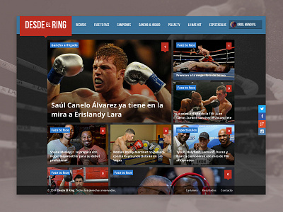 Desde El Ring brand flat responsive ui web design