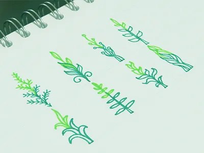 Plants art drawing green handdrawing illustration leaves logo ornament paper plant sketch