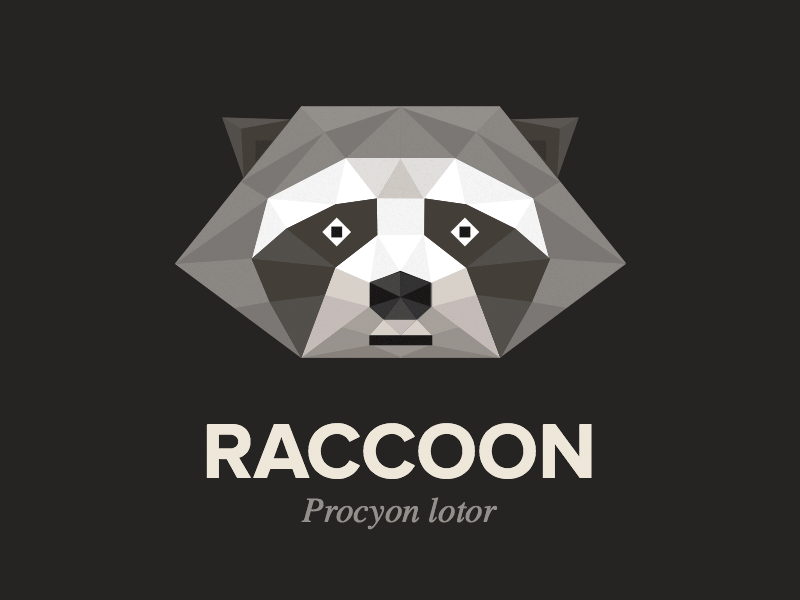 Geometric animals animal dog fox geo geometric hippo low poly raccoon sloth