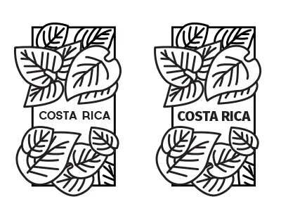 Branding Guidelines branding guidelines class project country