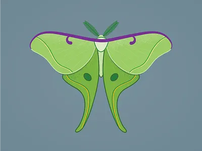 Luna illustration luna texture