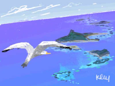 Visiting Paradise animated gif beautiful blue ekaterina oloy ekoloy gif hawaii island katia oloy seagull tropical