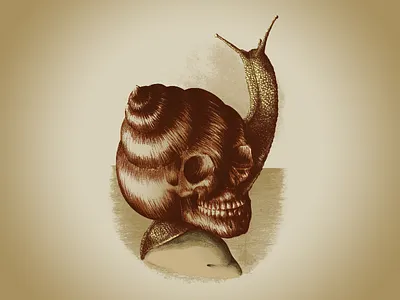 Eternal Home animal home illustration life shell skull snail stone surreal