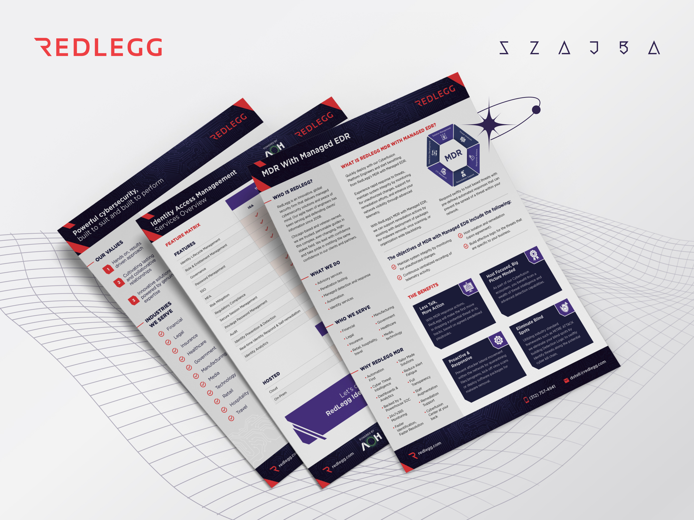 Example of RedLegg Service Sheets - Sneak Peak