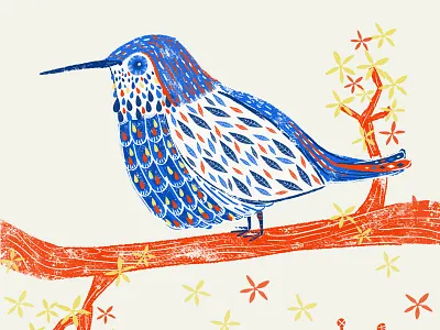 Bird illustration exploration digital hummingbird illustration