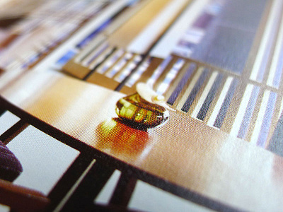 The Ritz-Carlton, Kyoto Marketing tools brochure hotel marketing pr promotion sales