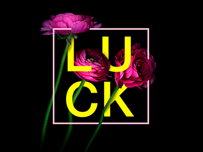 Feels and flowers: Luck feel flower letter luck