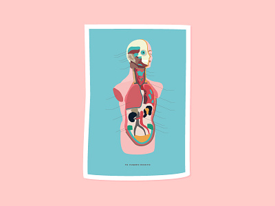 Anatomic Lesson anatomic flat design illustration