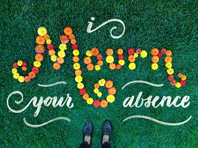 Lettering Language of Flowers dimensional type floral flowers handcrafted lettering mourn zinnia