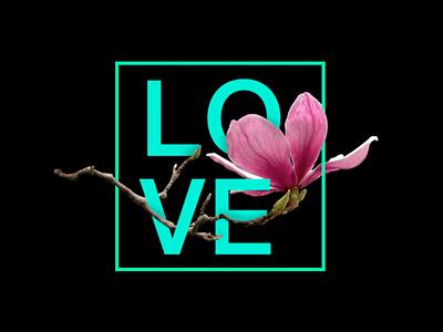 Feels and flowers: Love feel flower letter love