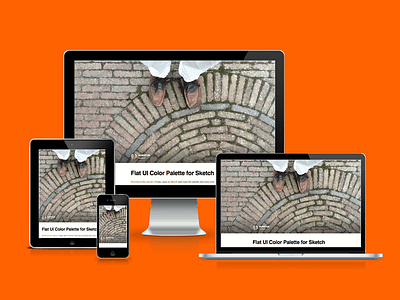 Shot #1903366 blog design github ipad iphone jekyll mobile orange personal responsive website