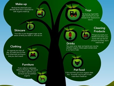 Organic Infographic design infographic organic