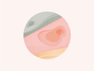 Contouring circle contour land pale