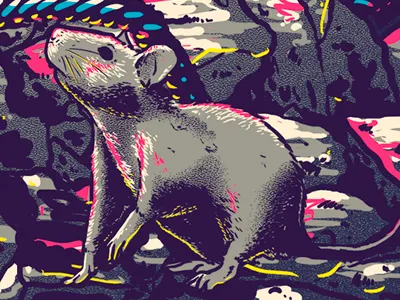 Wahrheit hiphop illustrationrattruthmouse