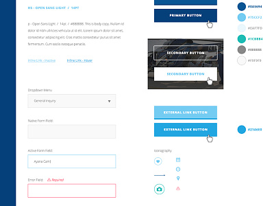 Style Guide button color fields form hover icons kit style guide typography ui