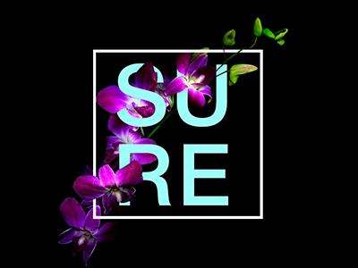 Feels and flowers: Sure feel flower letter sute