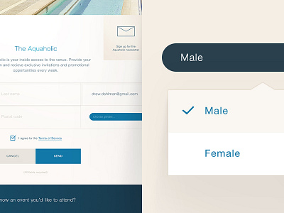 Text Fields and Drop Downs oh my! combo box drop down elegant fields form interface light modern newsletter ui