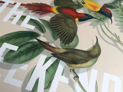 Tuckshop Print john gould london print typography