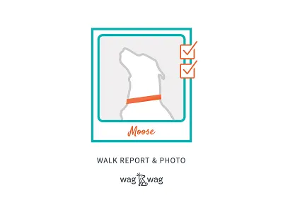 WagWag Walk Report & Photo blue check checklist dog feature gray orange photo small business turquoise value wagwag
