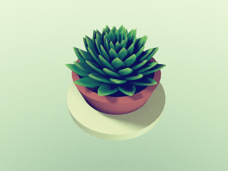 Breathing Succulent 3d illustration animation c4d cinema 4d gif loop low poly plants rendering stuart wade terrarium