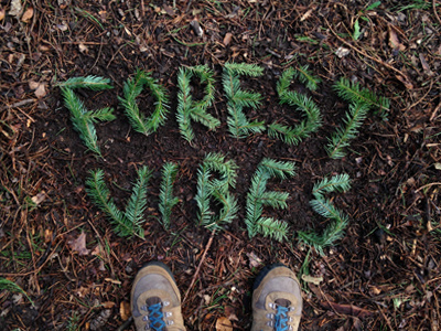 Forest Vibez design photography print type typography