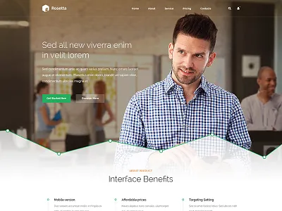 Rosetta analitics clean graph seo template theme web web design website